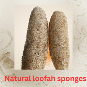 Natural Body Sponge set of 2