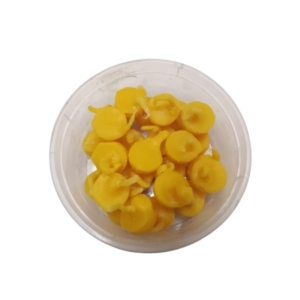 Ghee wick box