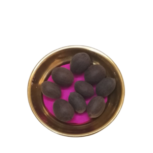 Lotus Seed set of 9