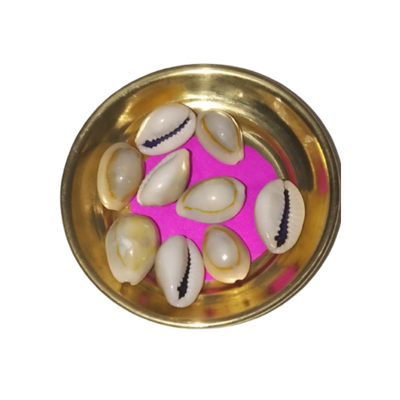 Choli set of 9